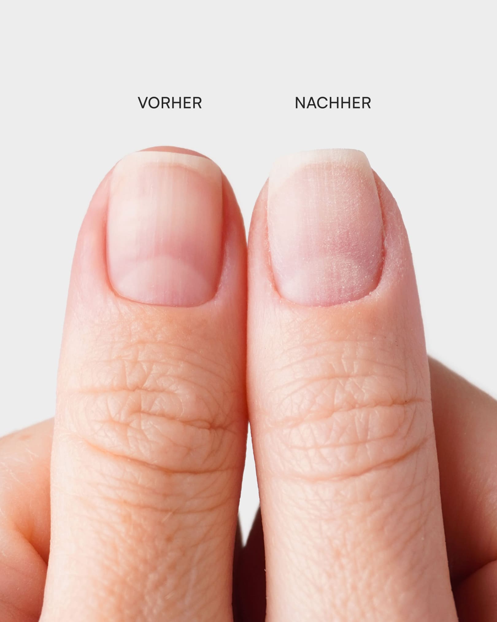 Premium Buffer Feilen