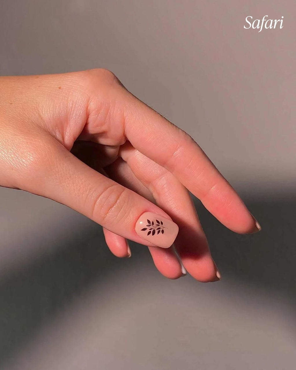 Water Tattoo Bundle (Magic, Safari & Venice)