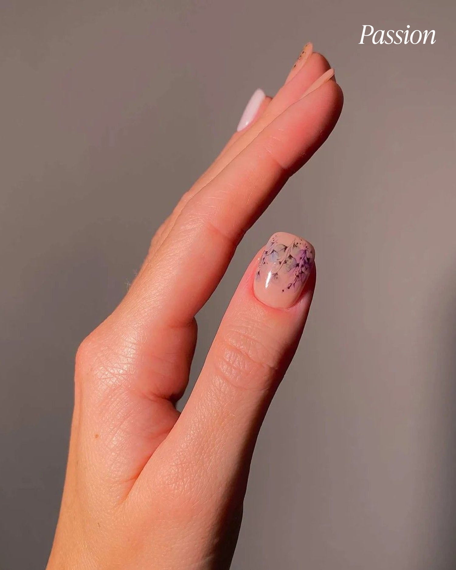 Water Tattoo Bundle (Grace, Passion & Provence)