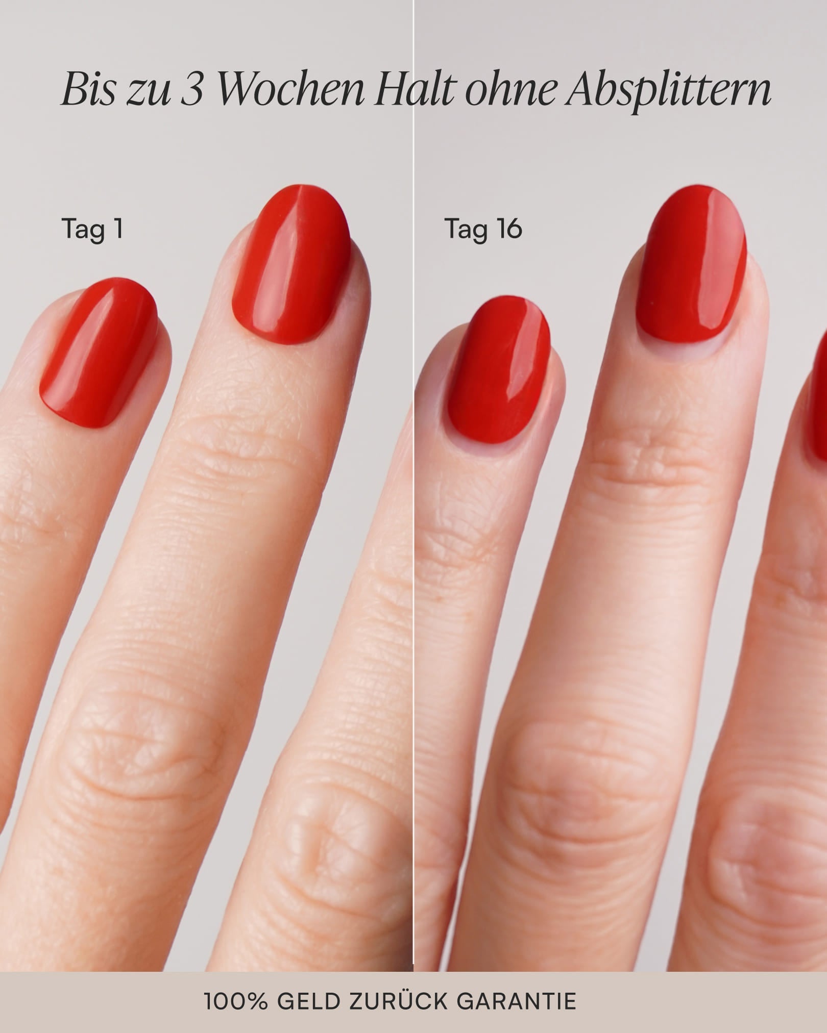 Black Week Starter Set - Gel Strips